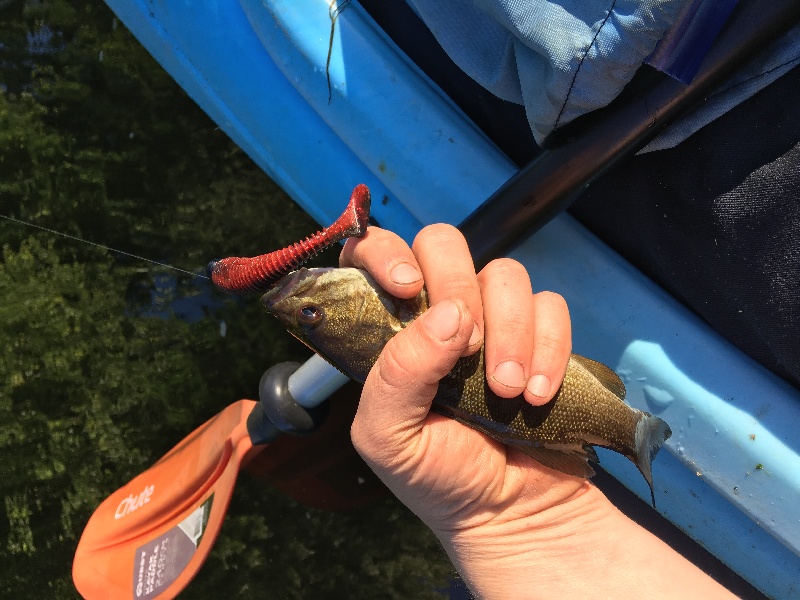 River smallie 